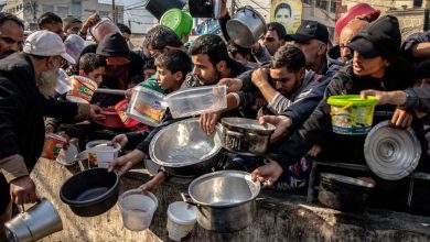 Photo of Gaza crisis: Starvation must never be allowed to happen, says UN rights chief