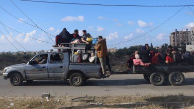 Photo of Gaza: UN calls for urgent aid scale-up amid new mass exodus to Rafah