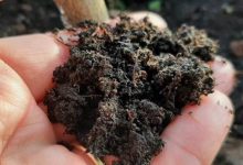 Photo of As the Climate Crisis Bites, Soil Needs Doctors Too