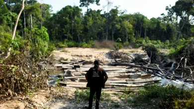 Photo of Politics and the environment collide in Brazil: Lula’s first year back in office