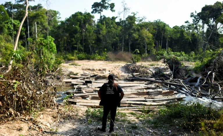 Politics and the environment collide in Brazil- Lula’s first year back in office