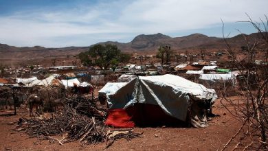 Photo of Sudan: Women and girls abducted, held ‘in slave-like conditions’ in Darfur