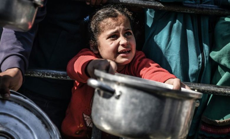 UPDATED- Everyone is hungry in Gaza, warn UN humanitarians